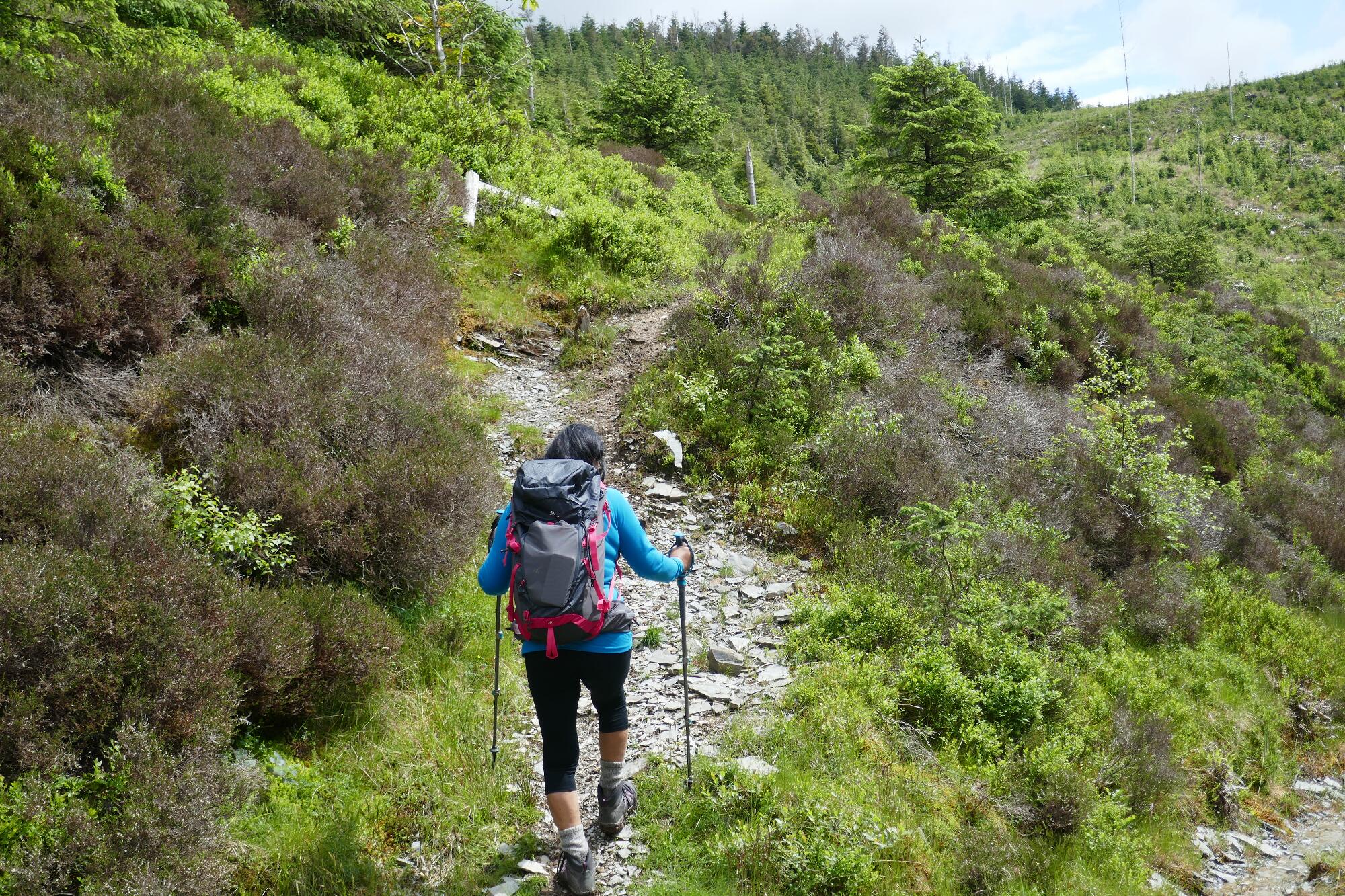 RachelSeabrook.net | Wild Walking | Devils-Bridge; pic54
